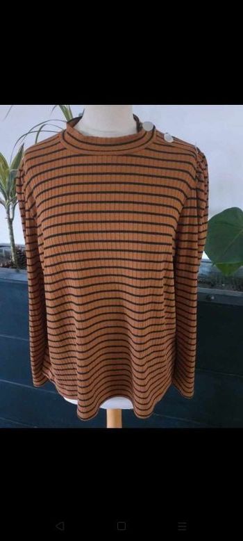 Col roulé Grain de Malice