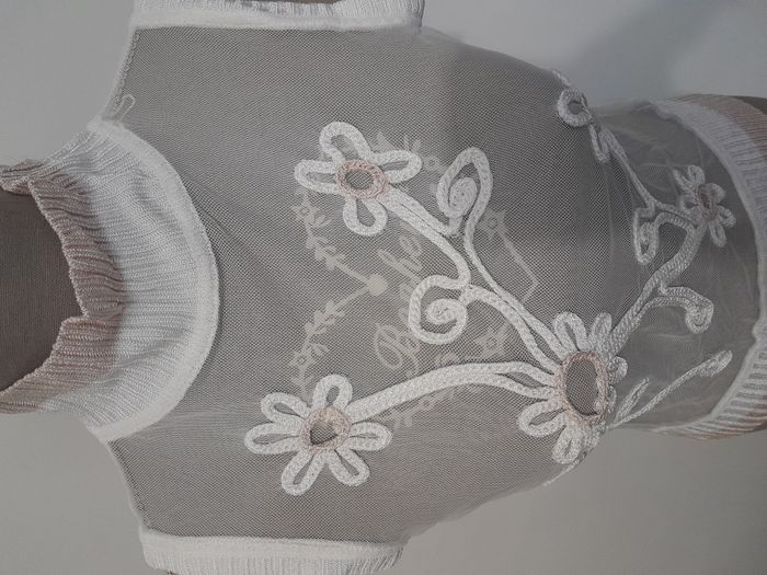 T-shirt - photo numéro 5