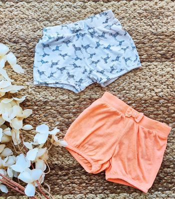 Lot de deux shorts taille 12 mois marque Creeks