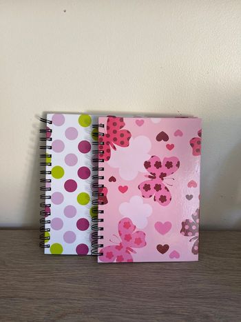 Lot de 2 carnets
