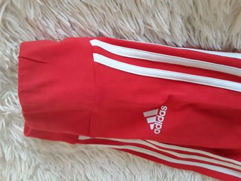 LEGGINGS ADIDAS TAILLE 13-14