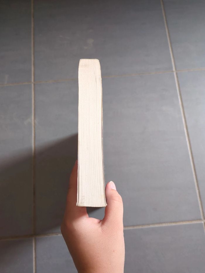 Livre la fille du diable - photo numéro 4