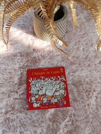 Livre l'histoire de lapin