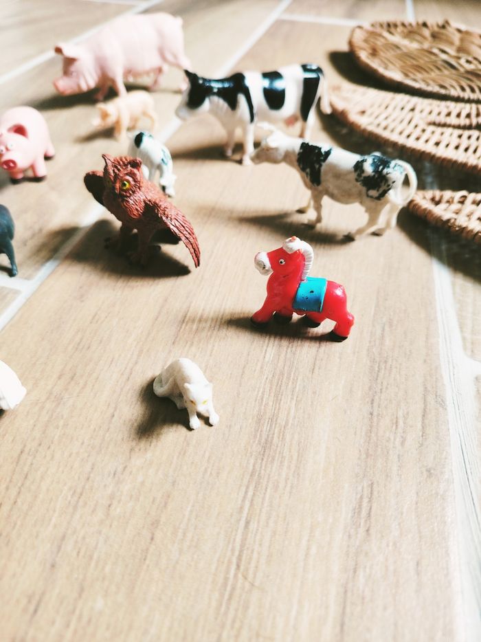 🐷Lot divers animaux de la ferme Montessori en plastique - photo numéro 4