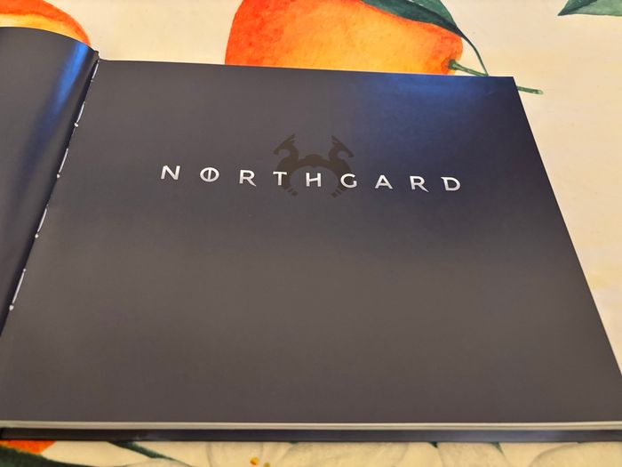 Livre the art of northgard - photo numéro 8