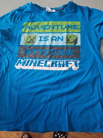 Tee shirt minecraft