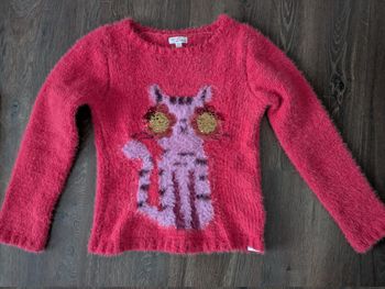 Pull hiver fille Du pareil au même chat avec sequins 10 ans