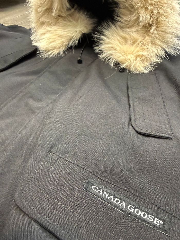 Canada goose - photo numéro 3