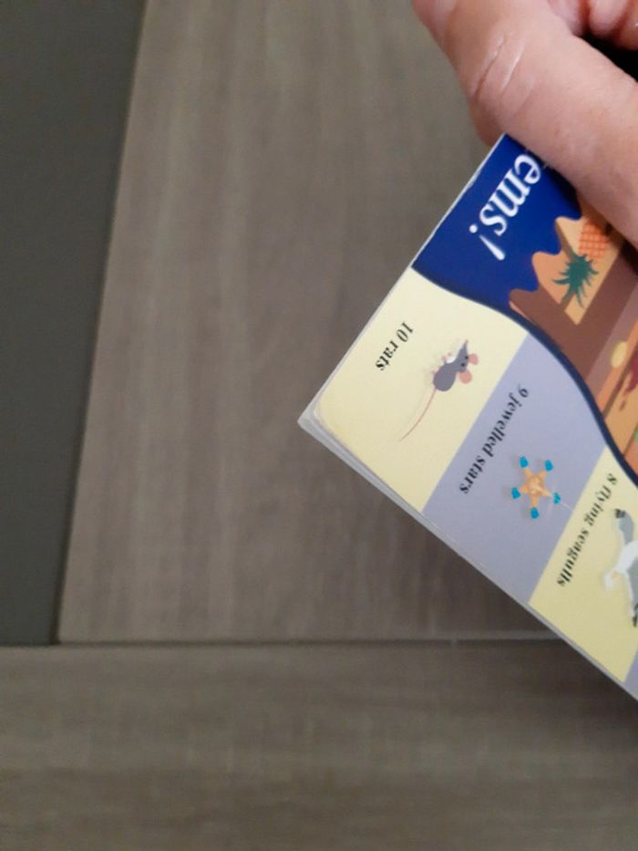 Livre cherche et trouve - photo numéro 4