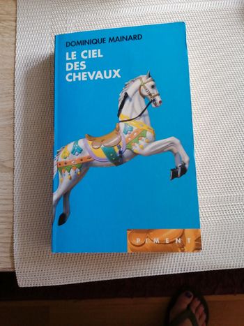 Livre 📖 le ciel des chevaux
