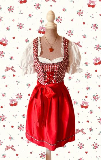 🍒Jolie robe traditionnelle autrichienne cottagecore dirndl red gingham austrian dress🍒