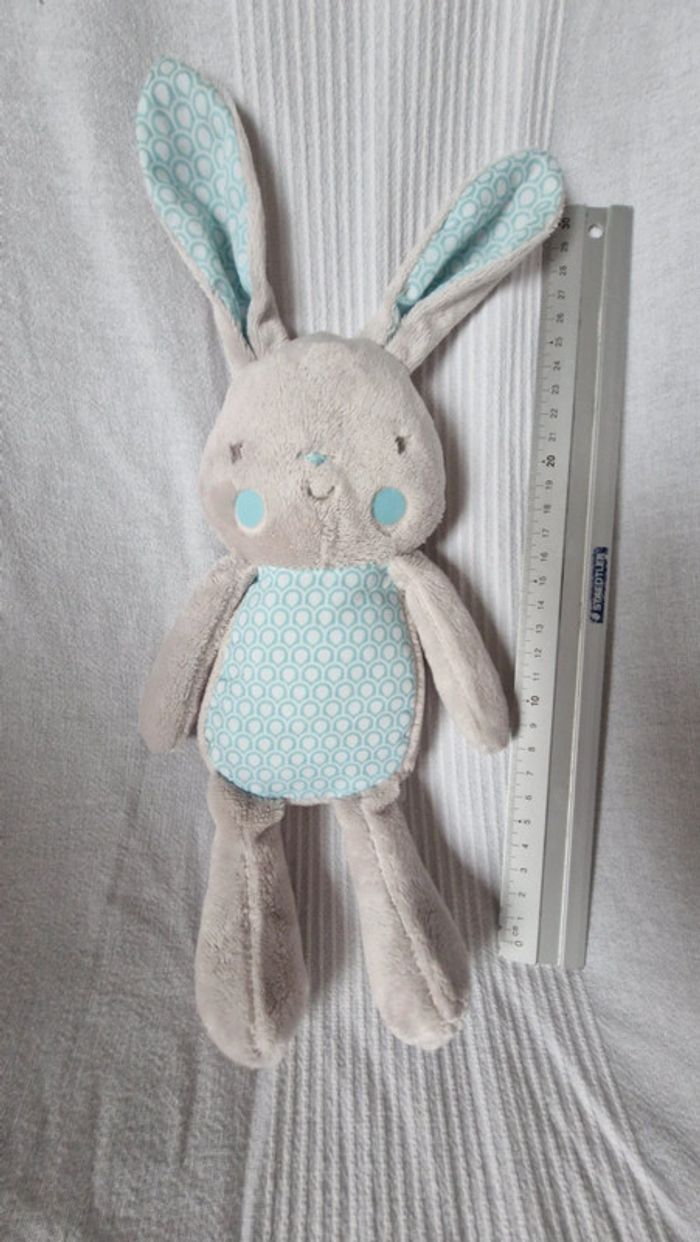 Lapin klorane bleu - photo numéro 3