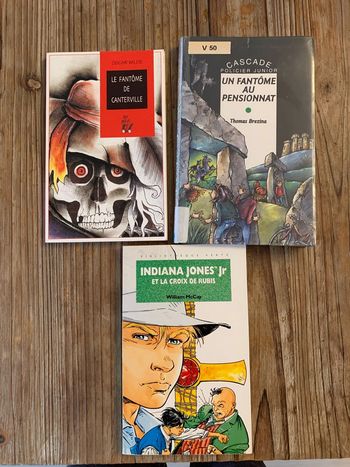 Lot 3 livres enfant 10 ans