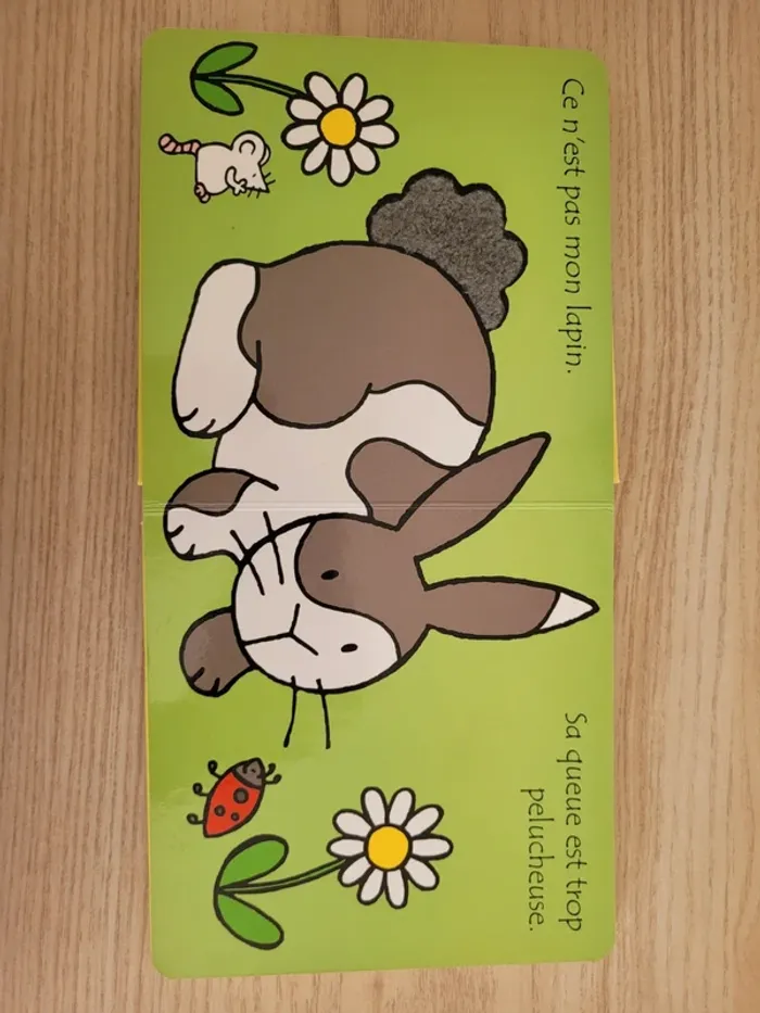 Où est mon lapin? - photo numéro 5