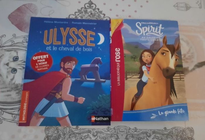 Lot de 2 livres