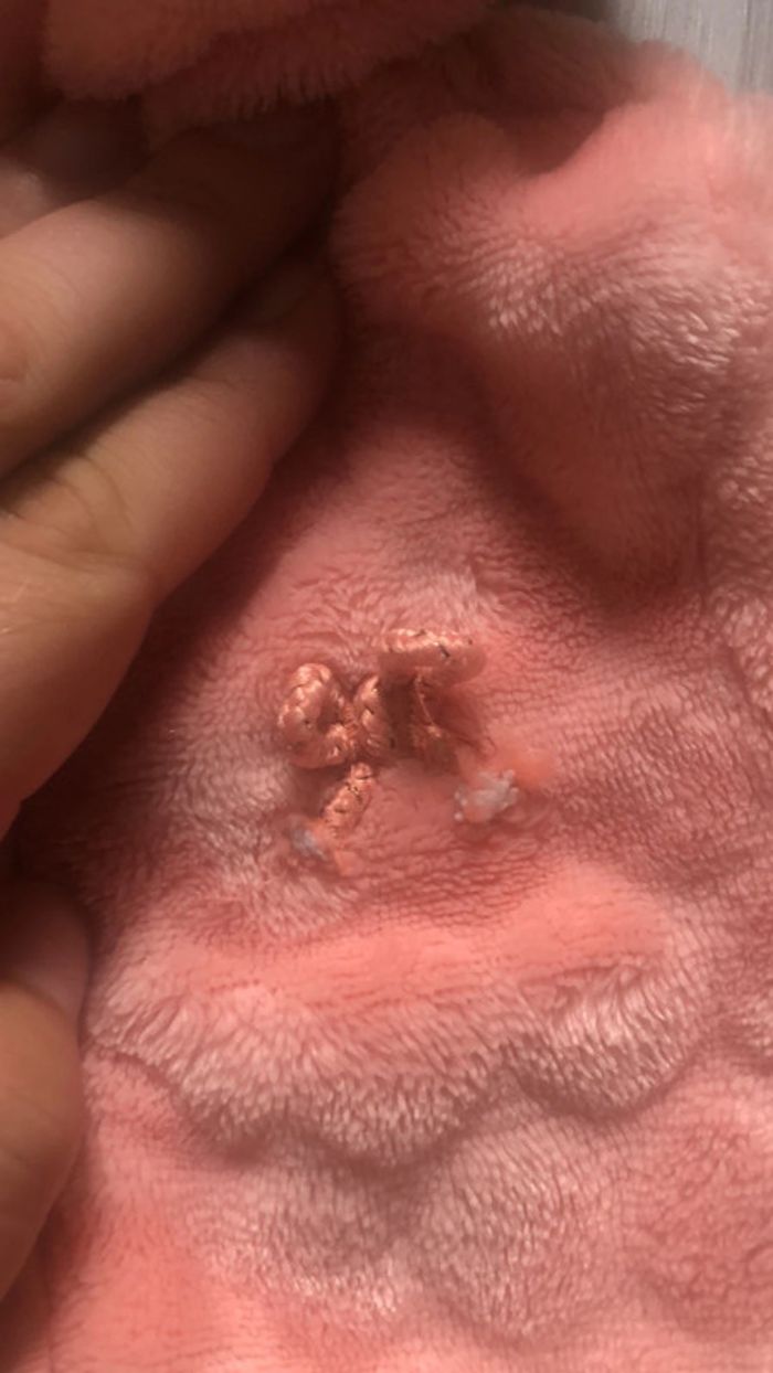 Ensemble kiabi 3 mois - photo numéro 2