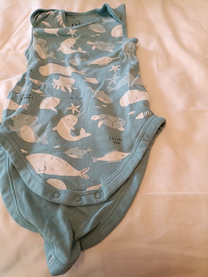 Body manches courte 18 mois - photo numéro 4