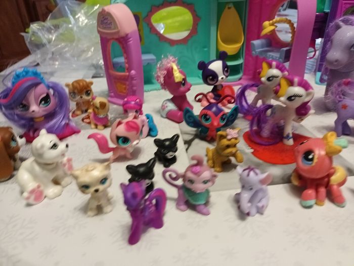 Pet Shop - photo numéro 2