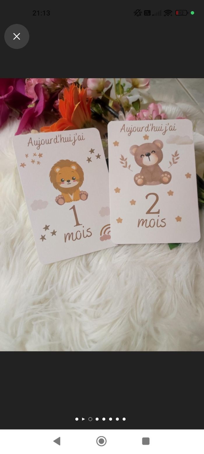 Carte étape bébé - photo numéro 2