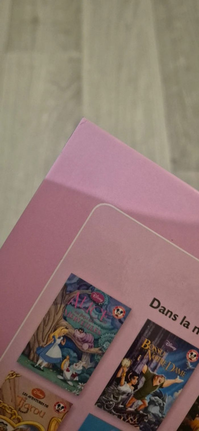 Livres - Cendrillon et Cendrillon 2 - photo numéro 14