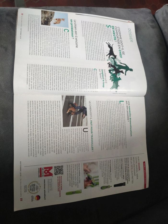 Magazine 30 millions d'amis numéro 376 septembre 2019 - photo numéro 6