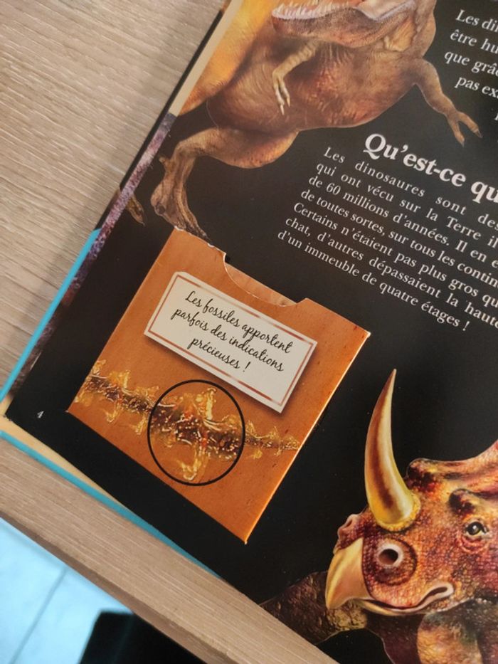 Incroyables dinosaures – L'incroyable encyclopédie – Larousse - photo numéro 9