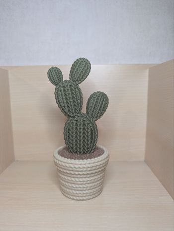 Cactus décoratif style tricot v1