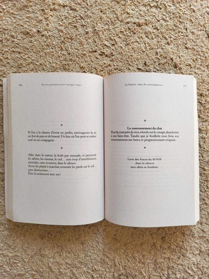 Livre Petites pensées pour voyager léger de Françoise Réveillet - Développement personnel - photo numéro 11