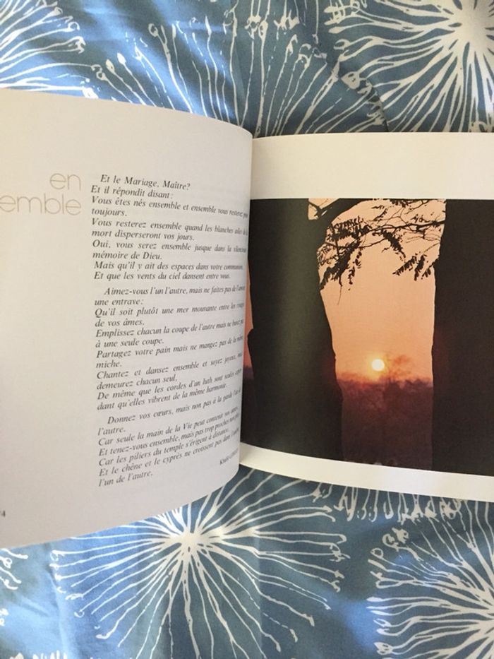 Quand est venu le temps d’aimer - photo numéro 15
