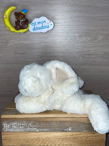 DDC313 doudou et compagnie lapin 🐰