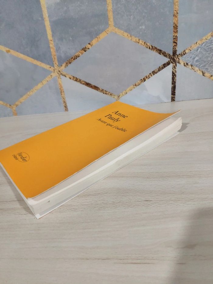 Livre grand format Avant que j'oublie Anne Pauly - photo numéro 3