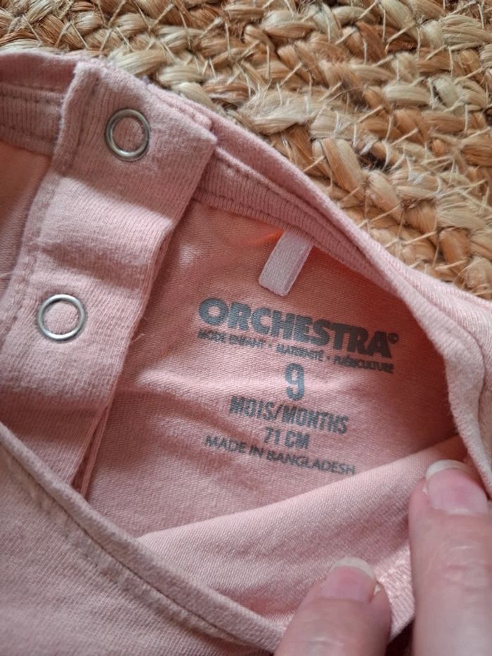 Orchestra 9 m - photo numéro 3