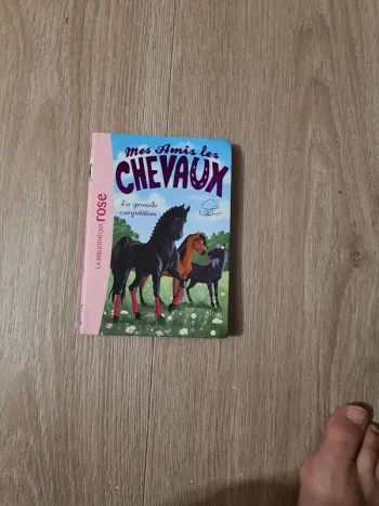Mes amis les chevaux la grande compétition