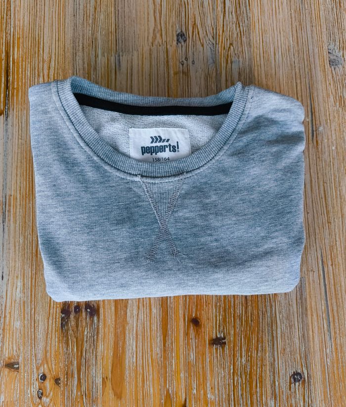 Sweat Garçon Pepperts! 12/14 ans Gris Molleton - photo numéro 6
