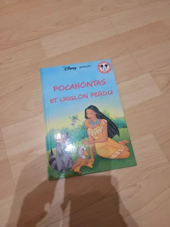Livre disney pocahontas et l'aiglon perdu