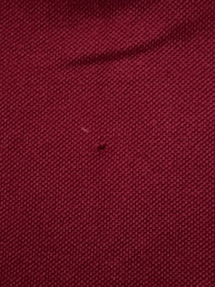Polo Lacoste - photo numéro 4