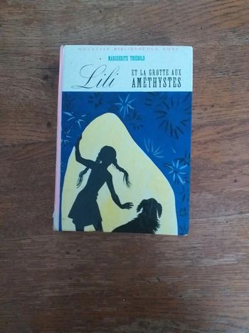 Lili et la grotte aux Améthystes