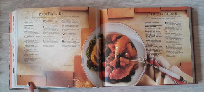 un repas autour d'un plat 100 recettes pratiques et savoureuses - photo numéro 2