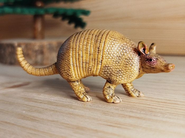 Schleich tatou Figurine animal de la savane - photo numéro 2