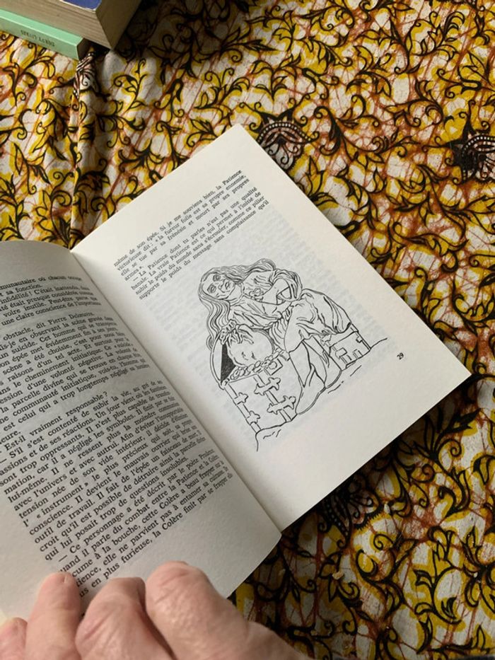 Le voyage initiatique - photo numéro 6