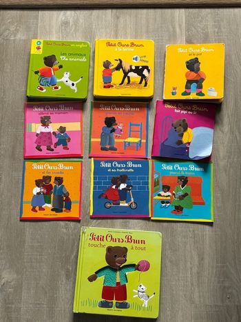 Lot livre petit ours brun