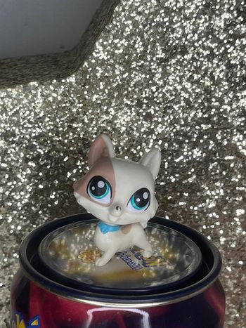 Littlest pet shop #4006 argo kibbley