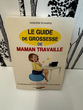 Livre Le guide de grossesse maman travaille
