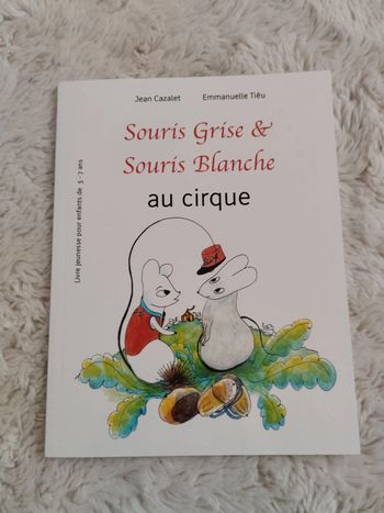 souris grise et souris blanche au cirque