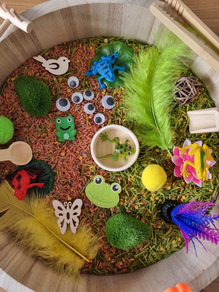 Kit de transvasement sensoriel riz coloré thème "Grenouilles " inspiré Montessori - photo numéro 2