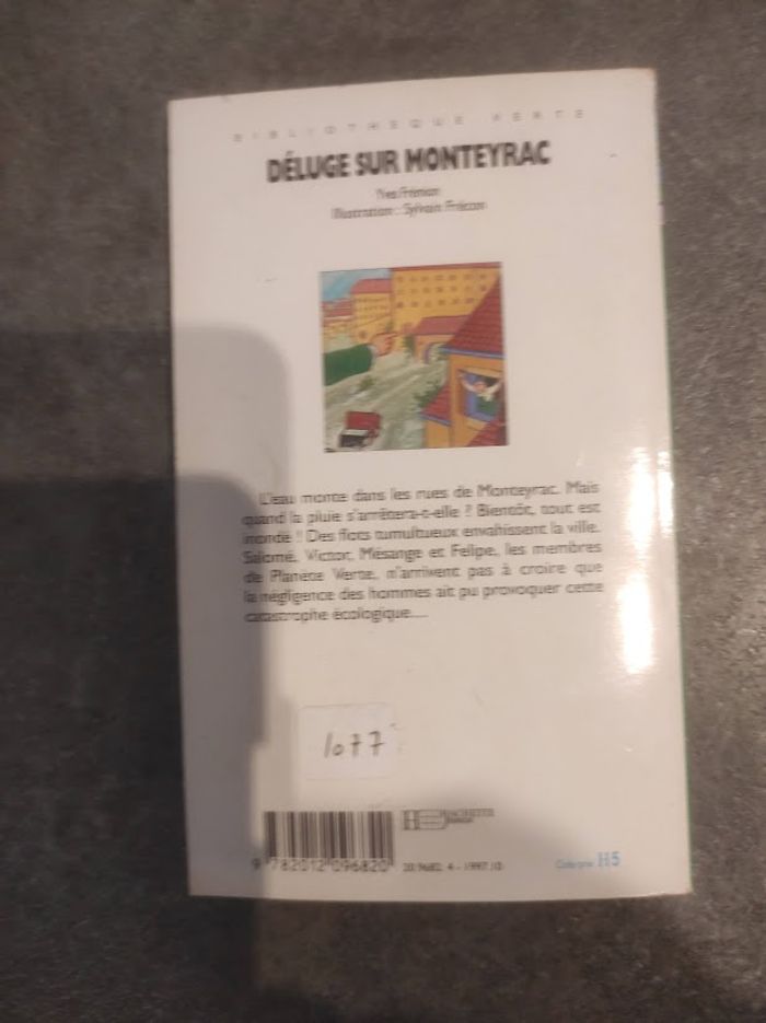 Déluge sur Monteyrac Yves Frémion Bibliothèque Verte 1997 - photo numéro 3