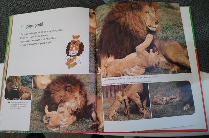 Livre "Le lion" Éditions du Korrigan en très bon état - photo numéro 4
