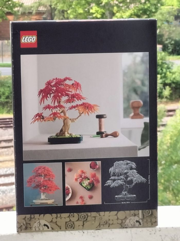 Lego le bonsaï d'érable rouge du Japon - photo numéro 3
