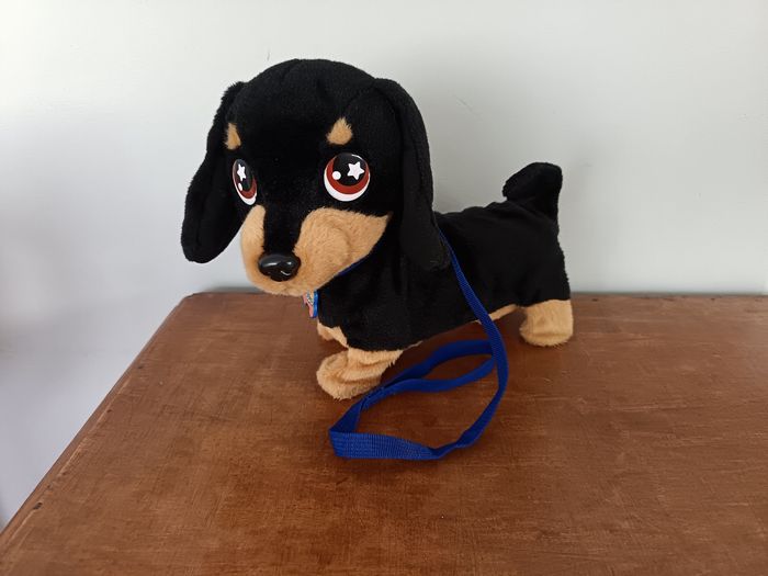 Waggles en balade Animagic-Chien - photo numéro 2