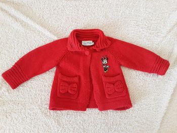 Veste Minnie 30% laine Disneyland Resort Paris 2 ans